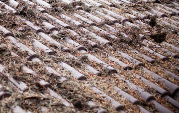 Gresham roof cleaning companies