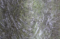 Gresham fibreglass roof work